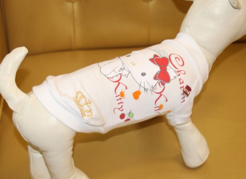 4538_Angeldog_Abbigliamento