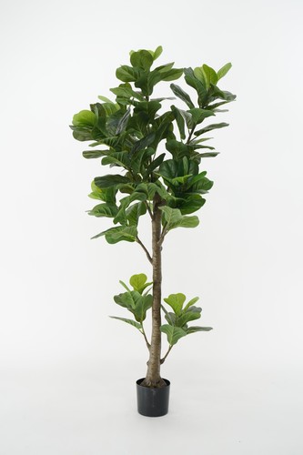 Ficus lyrata pianta sintetica - ficus,