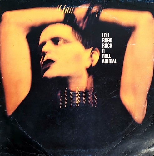 Lou reed rock roll - rock, animal