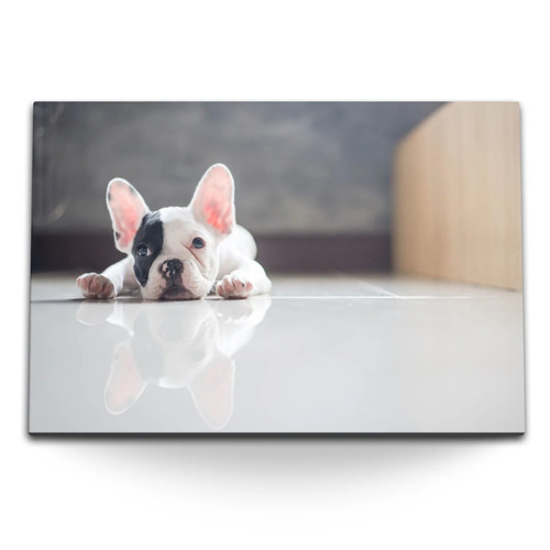 Quadro tela 120x80 cane - su,