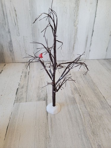 Dept albero cardinale ramo - 56,