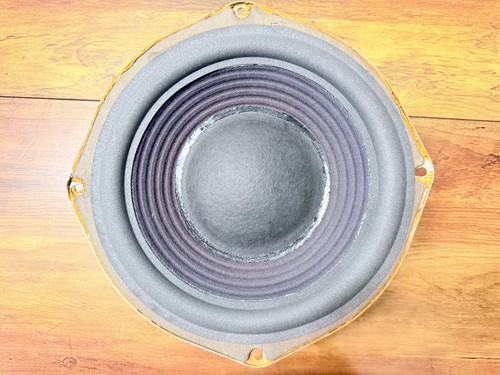 Piccolo woofer dell avvento - woofer, dell'avvento
