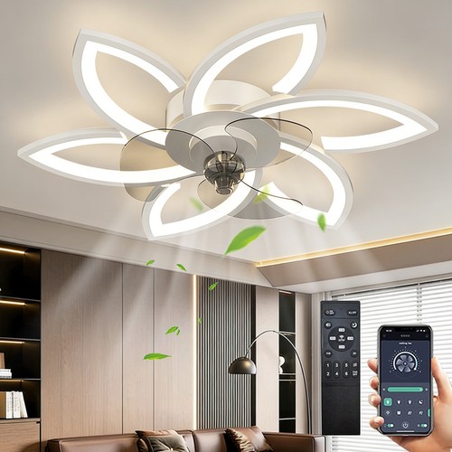 Ventilatore soffitto con - soffitto,