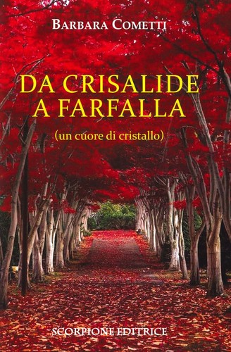 Libri cometti barbara - libri,