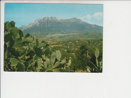 Oliena gologone - oliena,