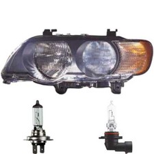 Faro Destro Per BMW X5 E53