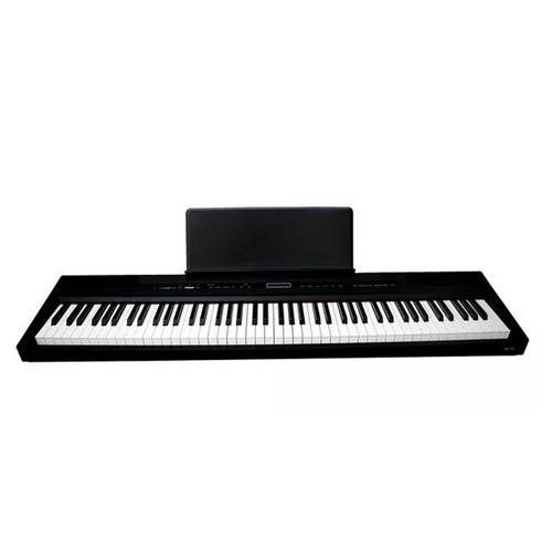 Echord sp10 blk pianoforte - sp10,