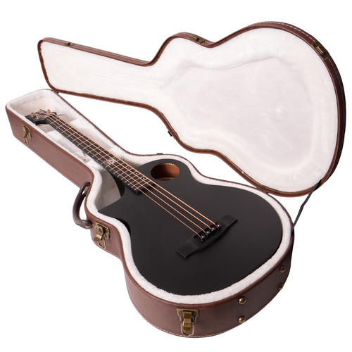Basso elettrico acustico lindo - basso,