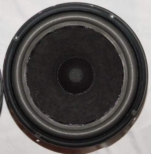 Altoparlante bose 301 - altoparlante,