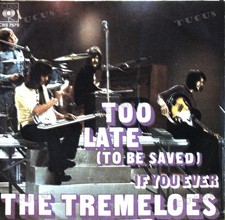 The Tremeloes - Too Late (To