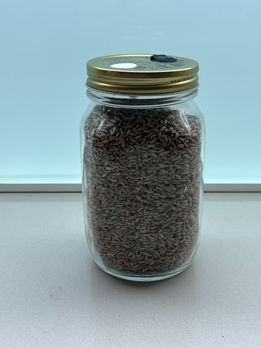500g segale bio sterilizzata - 500g,
