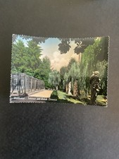 CARTOLINA  PEDAVENA - INTERNO DEL PARCO BIRRERIA - VIAGGIATA 1957