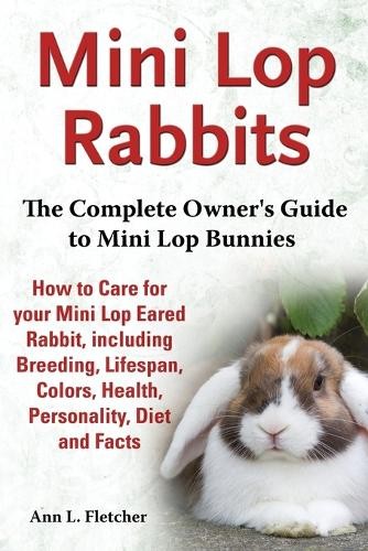 Ann fletcher mini - mini, lop