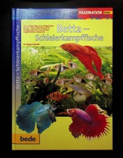 Betta-Schleierkampffische