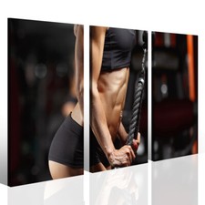 Quadro palestra allenamento - palestra,