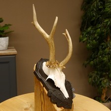 Corna di Cervo Grandi Palchi