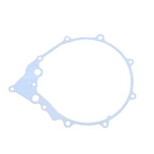 Guarnizione carter alternatore