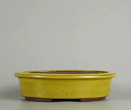 Vaso per bonsai giapponese