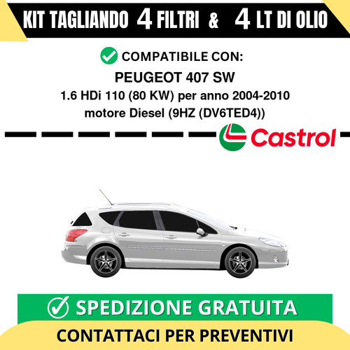 Tagliando per peugeot 407 - per,