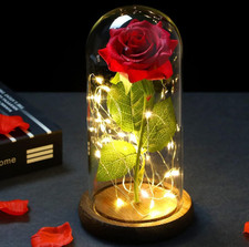 NLIGHTING® Rosa Eterna