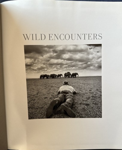 Wild encounters iconic - :,