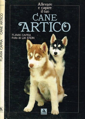 Cane artico capra flavia - capra,