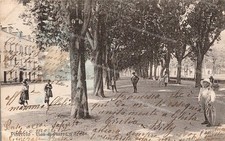 di23 cartolina pinerolo, viali di piazza d'armi, provincia di torino