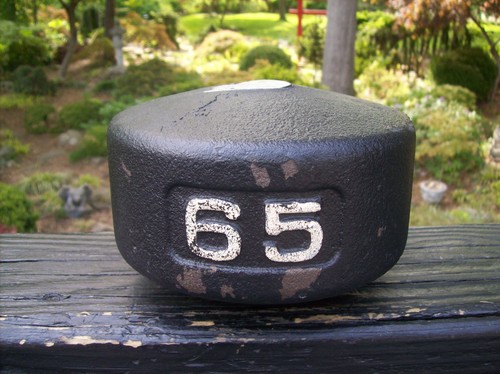 York barbell blob - 1/2, 65