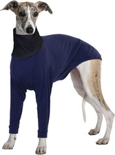 Maglione per Levrieri, Pigiama