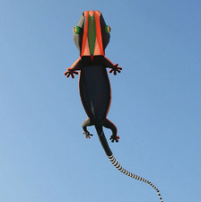 Aquilone Geco Gigante 14m 45ft