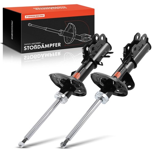 Ammortizzatore gas - ammortizzatore,