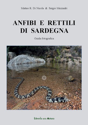 Anfibi rettili sardegna - rettili, di