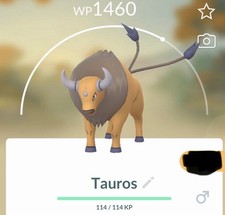 POkeMon Go Tauros 0128 -