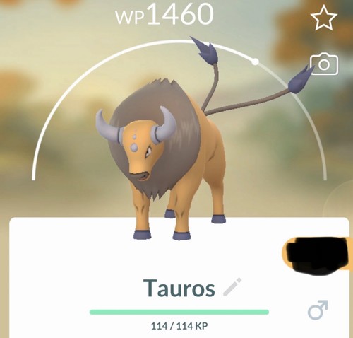 Pokemon tauros 0128 - tauros,