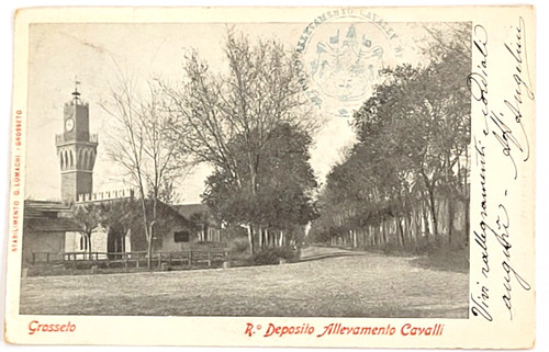 1903 cartolina grosseto - 1903,