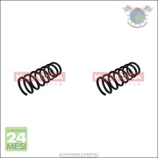 Coppia molle ammortizzatori