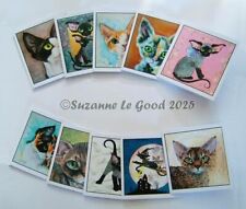 Devon Rex cat greetings cards