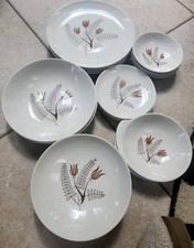 Royal China Inc. "Tanglewood" vintage come nuovo MCM anni '50 20 pezzi Set di stoviglie per 4