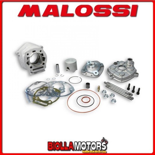 3113564 gruppo termico malossi - termico,