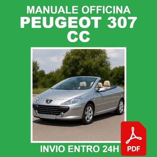 Manuale officina peugeot - officina,