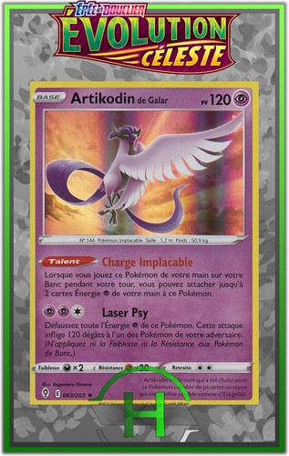 Artikodin holo - holo,