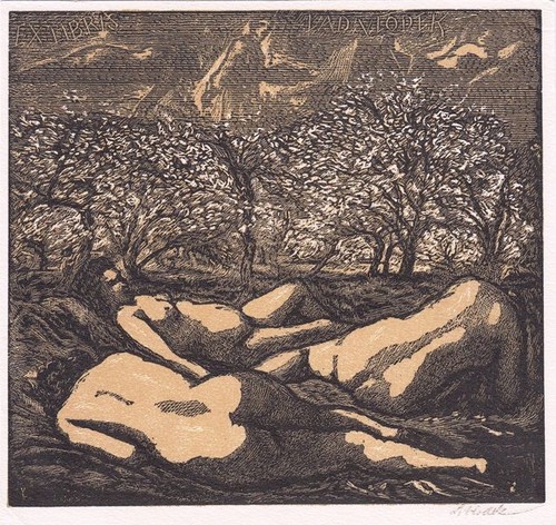 Exlibris bookplate incisione - exlibris,