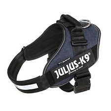 (TG. XL / 2) Julius-K9
