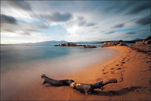 Fotomurale vinile xxl carta - vinile, da