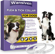 Collari Antipulci per Cani