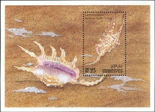 Maldive 1993 mare - 1993, conchiglie