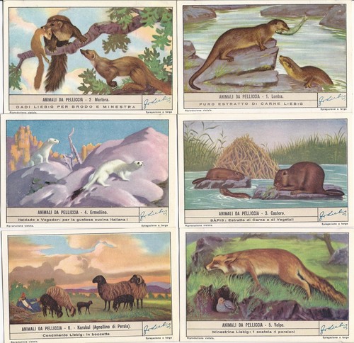 1426 liebig animali - /,
