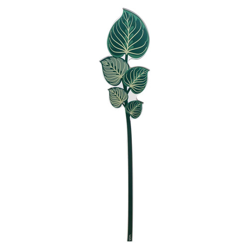 Foglia maranta cristallo - foglia, in
