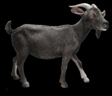 Giardino Ziegenfigur Billy