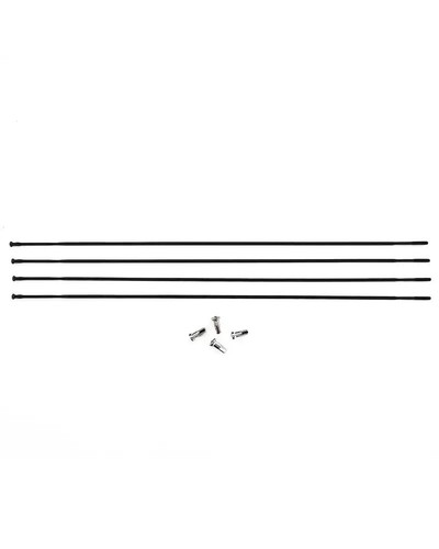 Fulcrum 019 raggio - -, r3-019
